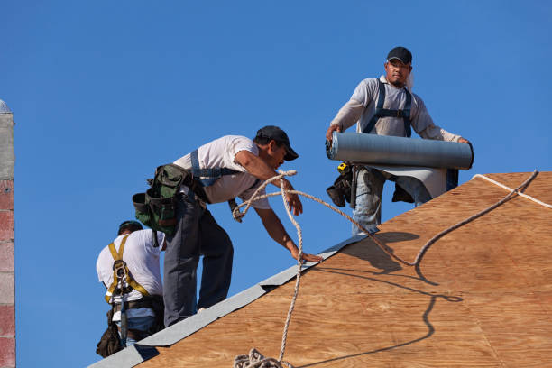Professional Roofing Contractor in Clemson University, SC